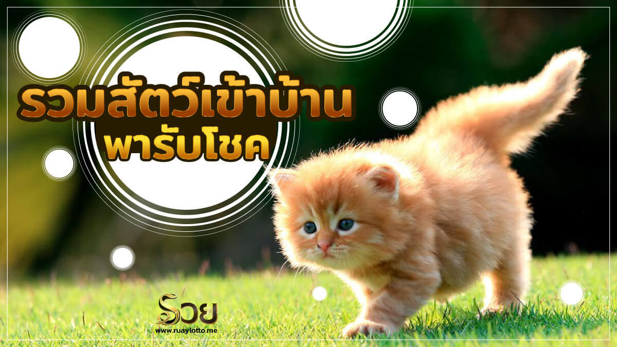 สัตว์เข้าบ้าน