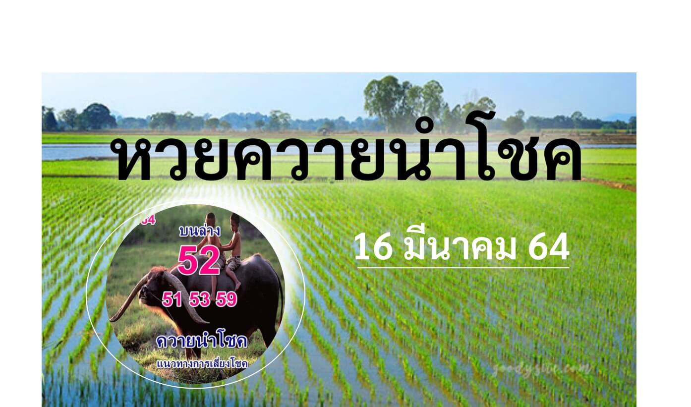 หวยควายนำโชค 16 มีนาคม 64 (1)