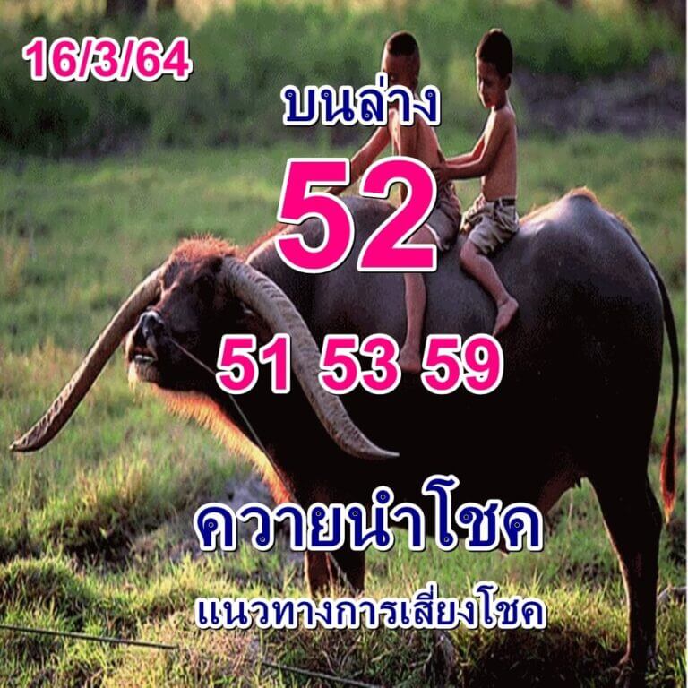 หวยควายนำโชค  16 มีนาคม 64 