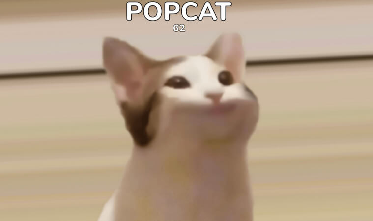 เกมส์ POPCAT