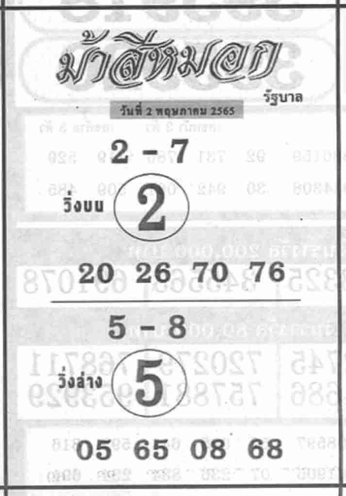 ม้าสีหมอก2/5/65