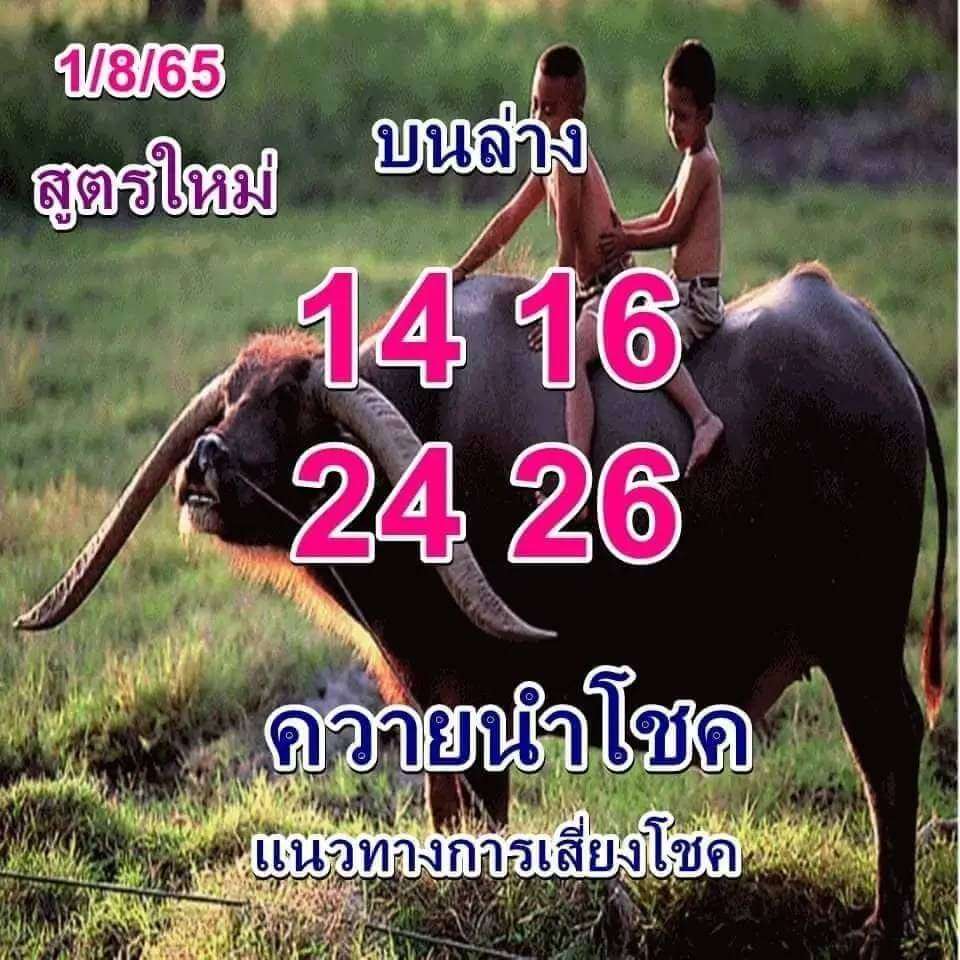 เลขควายนำโชคสูตรใหม่