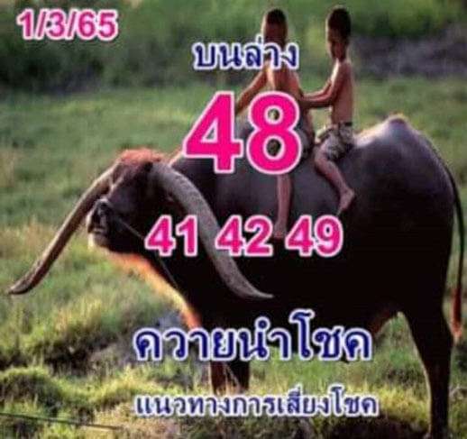 เลขควายนำโชคสูตรเก่า