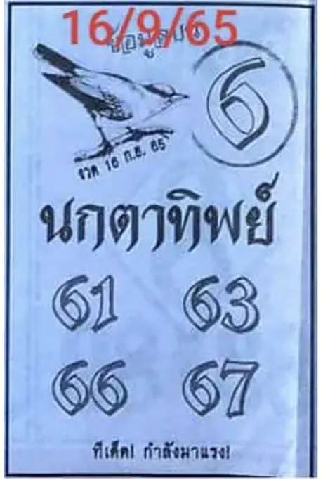 เลขเด็ดนกตาทิพย์ 16/9/65