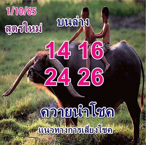 เลขพี่ควายนำโชค 1/10/65