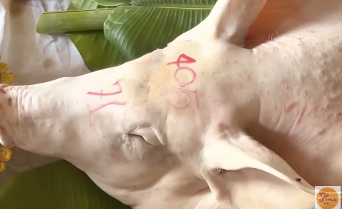 เลขเด็ดปู่คำแสน 1/10/65