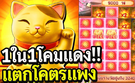 เกมสล็อตแมวกวัก PG